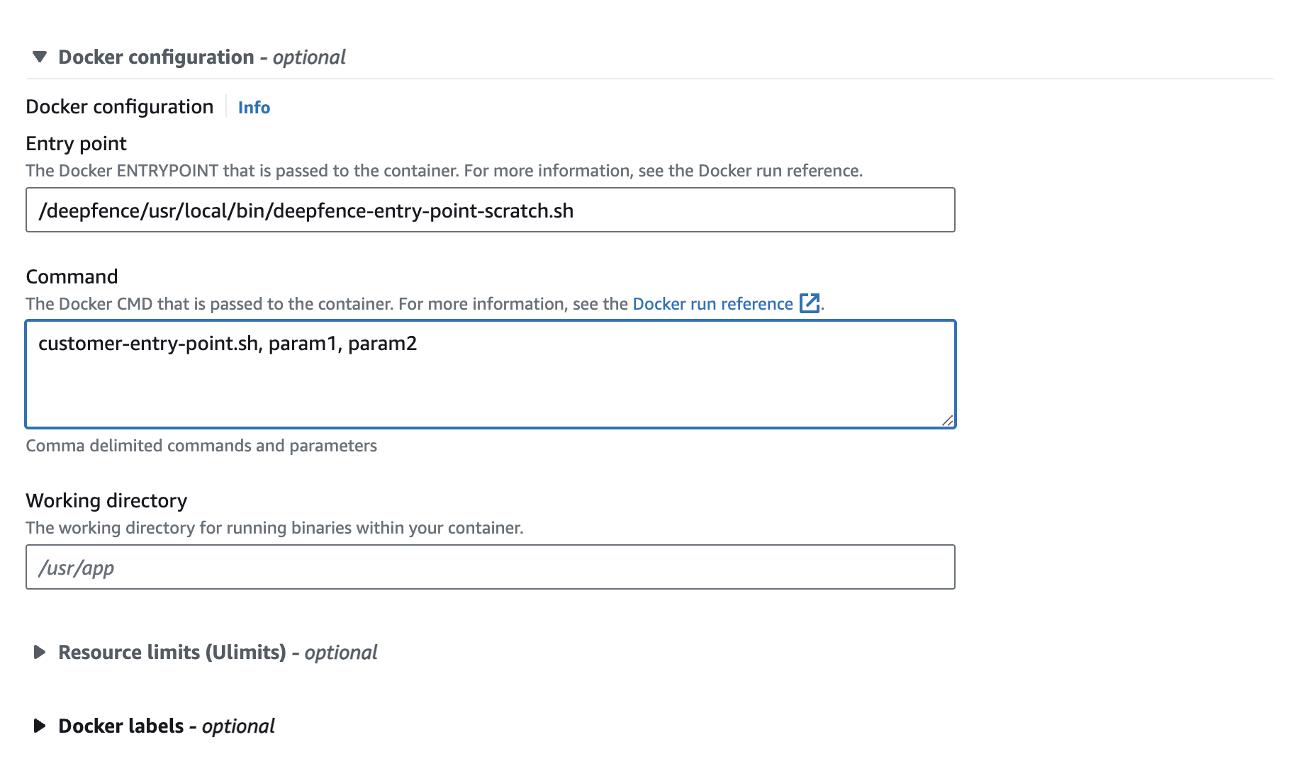 Invoking agent by changing the Entrypoint and Command field